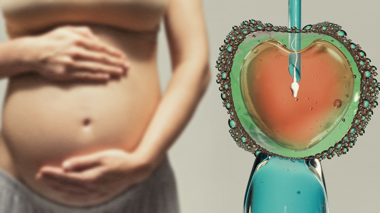 Pregnant woman next to an image of IVF fertilization 