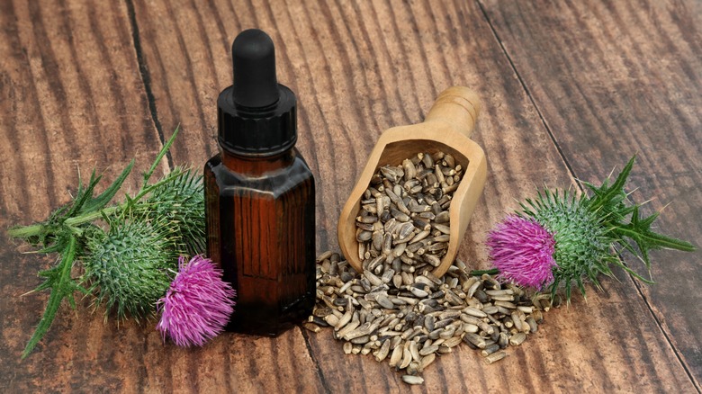 Milk thistle flower, seed, and oil