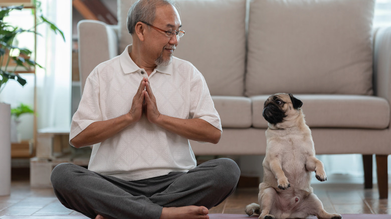 an older man sits on a yoga mat looking at his pug