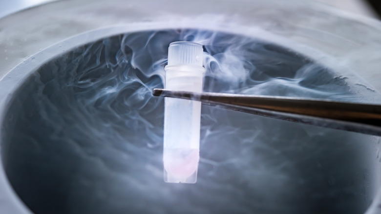 frozen egg in test tube