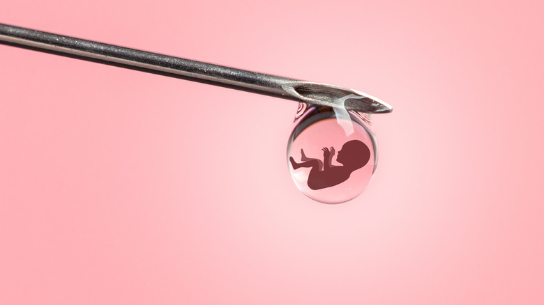 human embryo IVF concept