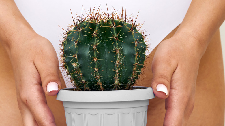 a woman holds a cactus in front of her groin