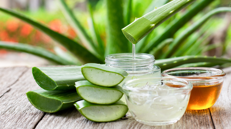 aloe vera and honey 