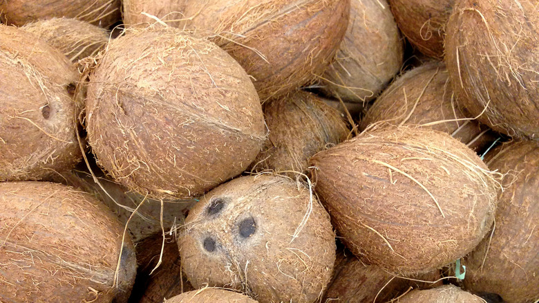 A collection of coconuts