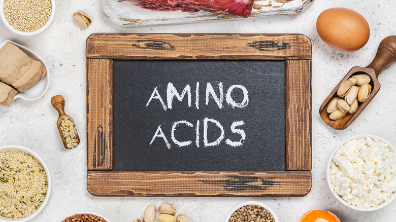 amino acids protein food