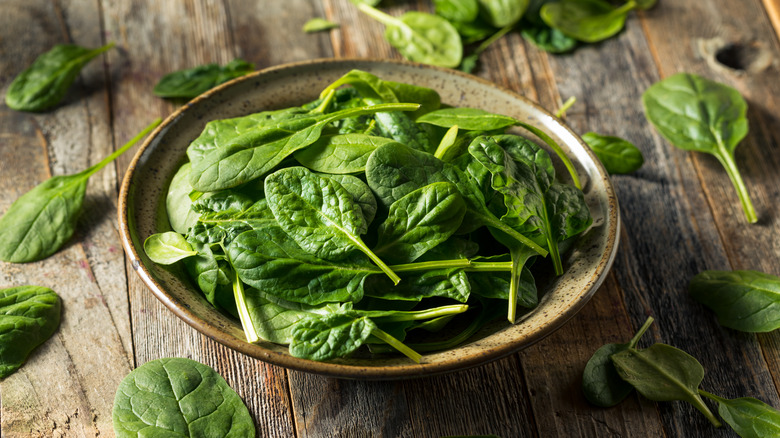 close up of baby spinach leaves