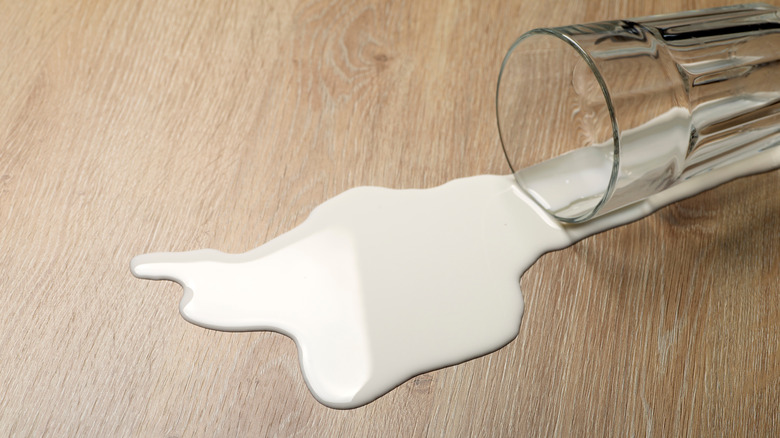 spilled milk on a wooden floor