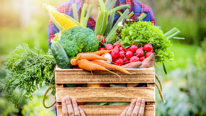 A crate of colorful fresh vegetables