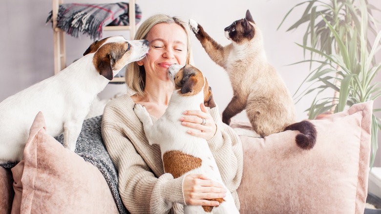 middle-aged woman with cat and two dogs