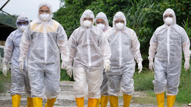 workers wearing PPE during avian flu outbreak