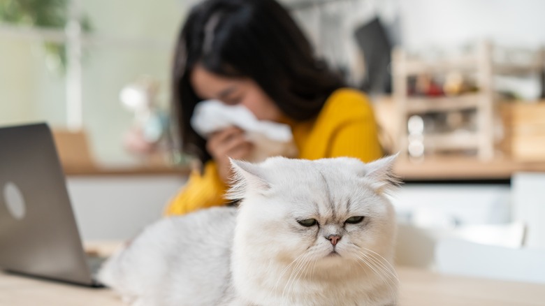woman sneezing from cat allergy