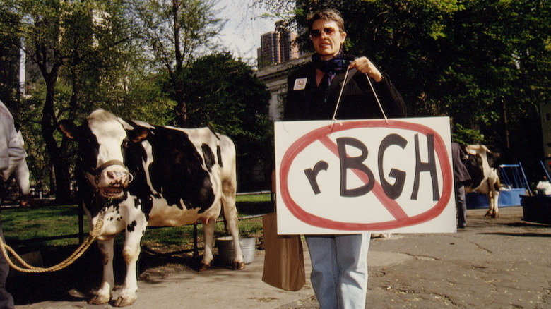 Man holding sign against rBGH use in cows