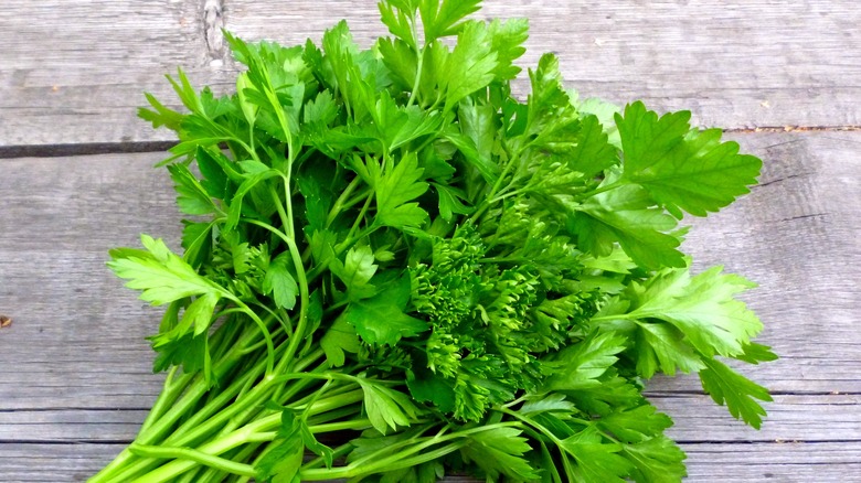 Bunch of fresh parsley