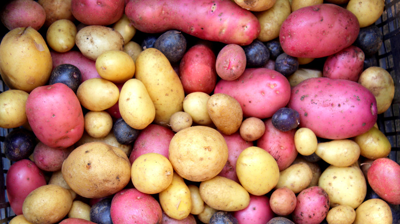 multicolored potatoes in a basket