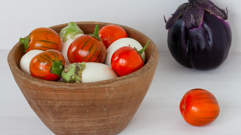 eggplant varieties