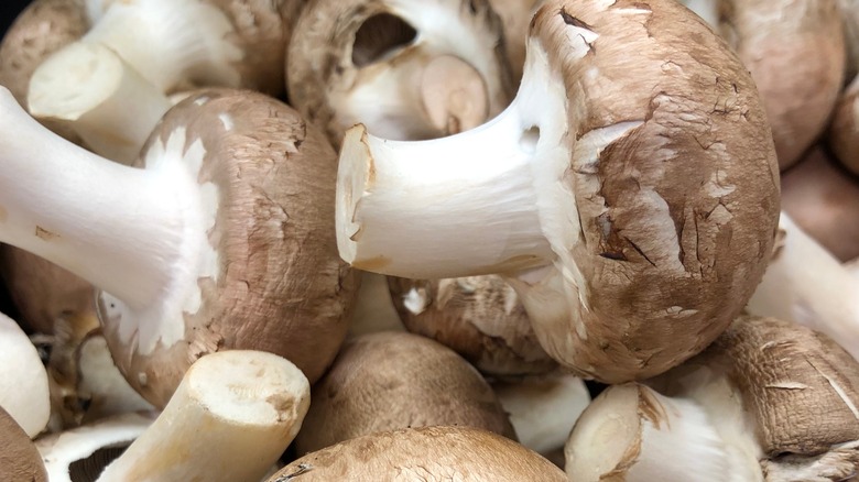 close up of mushroom pile