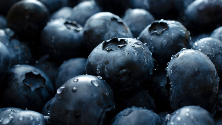 closeup of blueberries