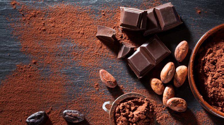 an assortment of powdered chocolate cocoa beans and chocolate bars