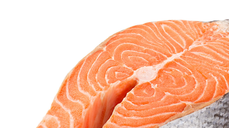 fresh salmon on white background