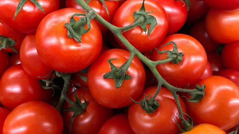 closeup shot of cherry tomatoes on vine 