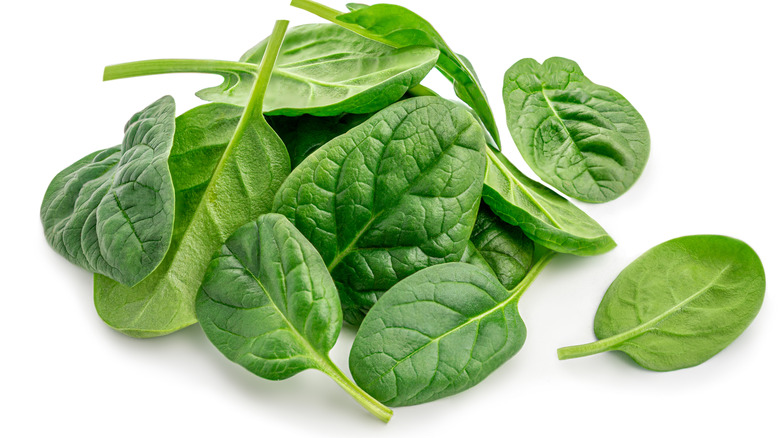 Fresh baby spinach leaves on white