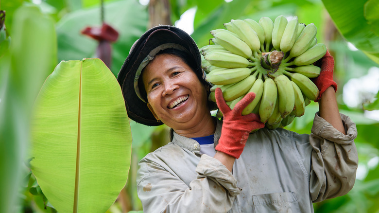 happy farmer raw bananas