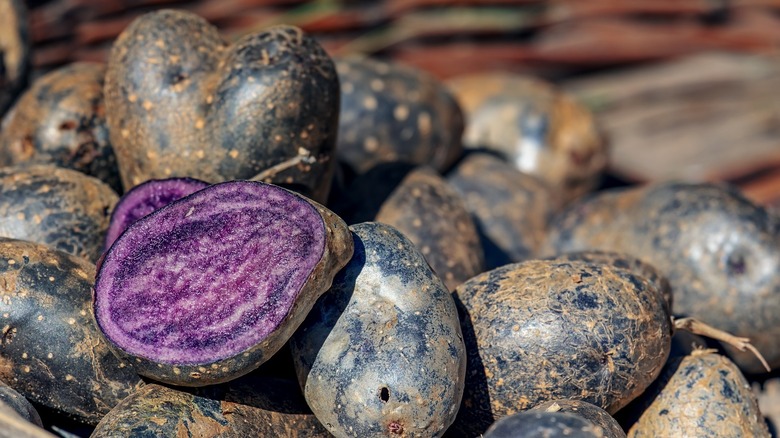 blue potato meal