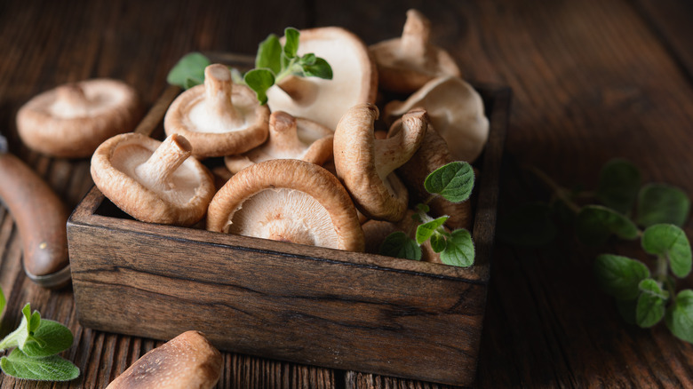 box shiitake mushrooms