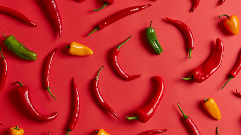 chili peppers on red background