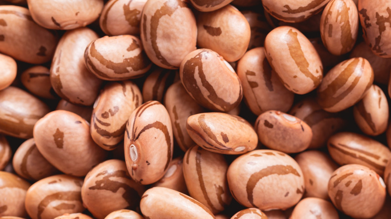 overhead shot of a pile of pinto beans