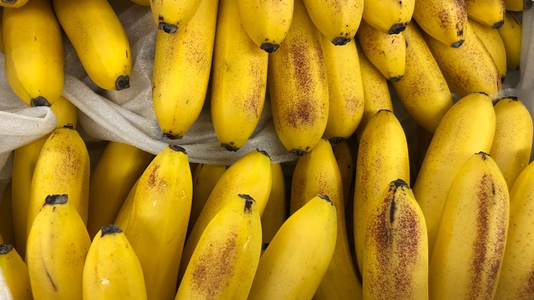 bunches of bananas being sold