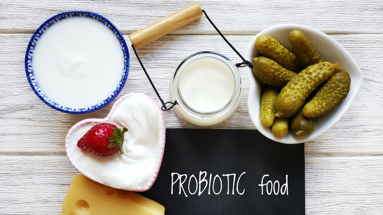Foods rich in probiotics