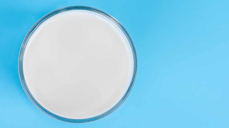 milk in glass on blue surface