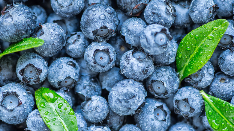 Overhead shot of blueberries and leaves