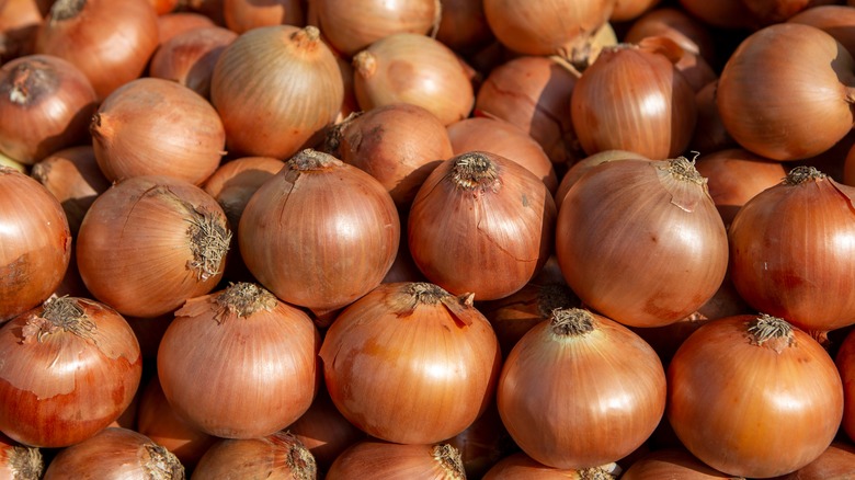 Overhead shot of a pile of onions