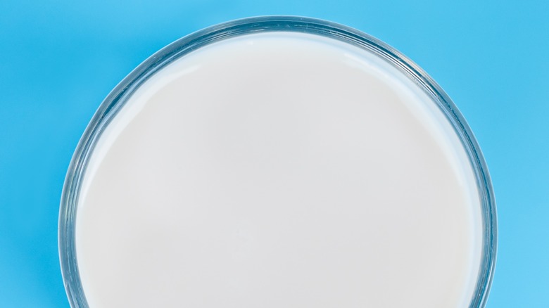 milk on light blue surface