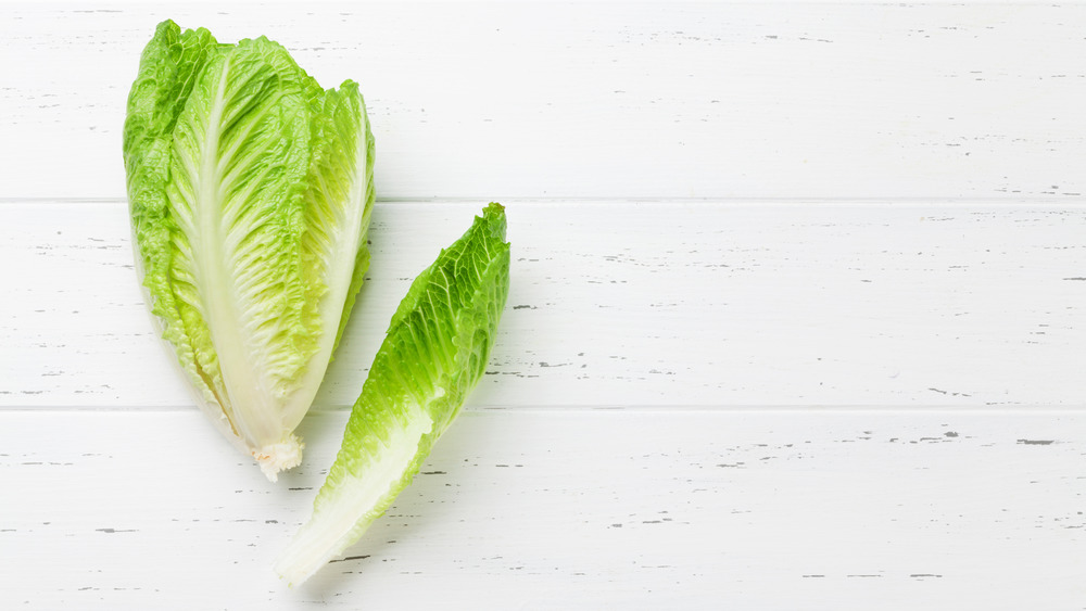 Romaine lettuce leaves on a white wooden table