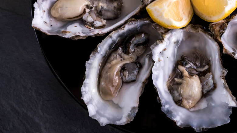 Close-up shot of oysters around lemon wedges