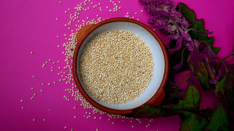 Bowl of quinoa against a magenta background