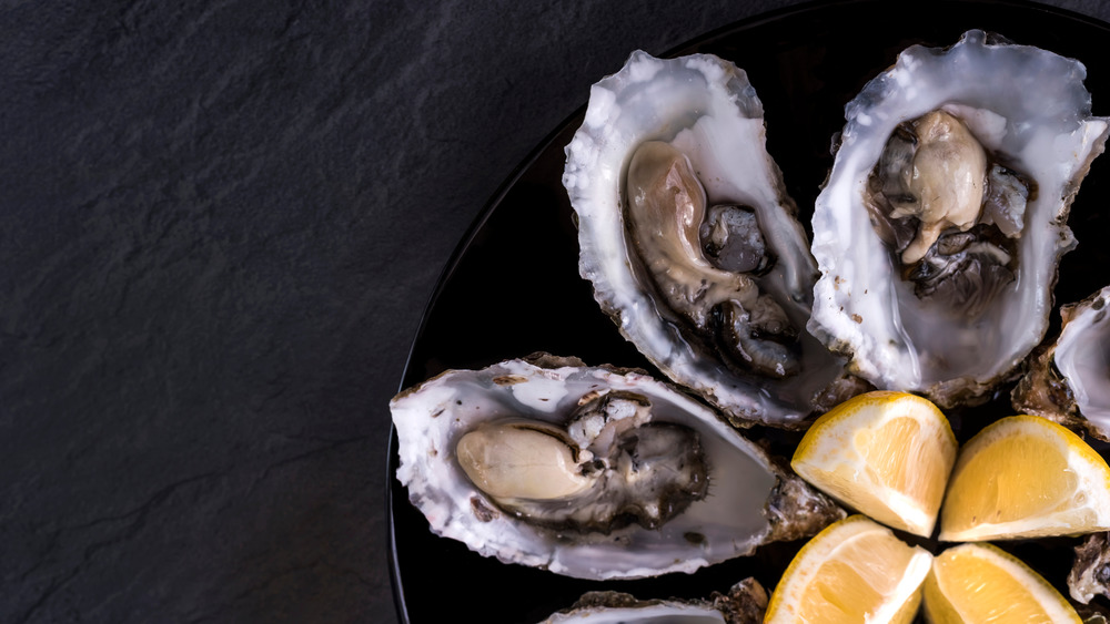 Oysters on a plate with a lemon wedge