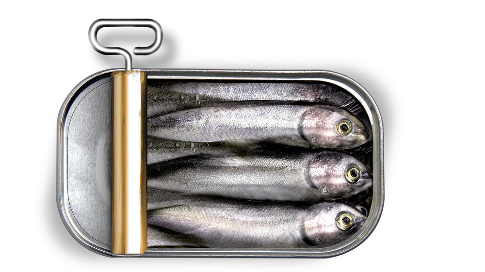 Can of sardines open on a white background