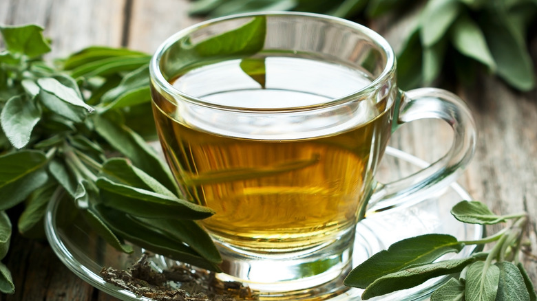 Sage tea in glass mug