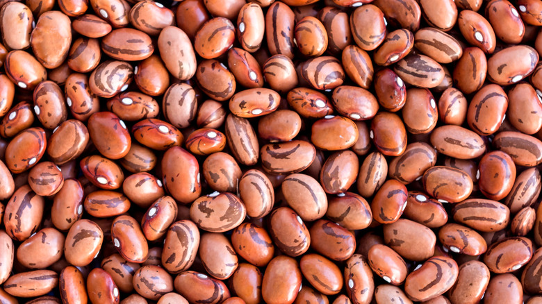close up shot of beans 