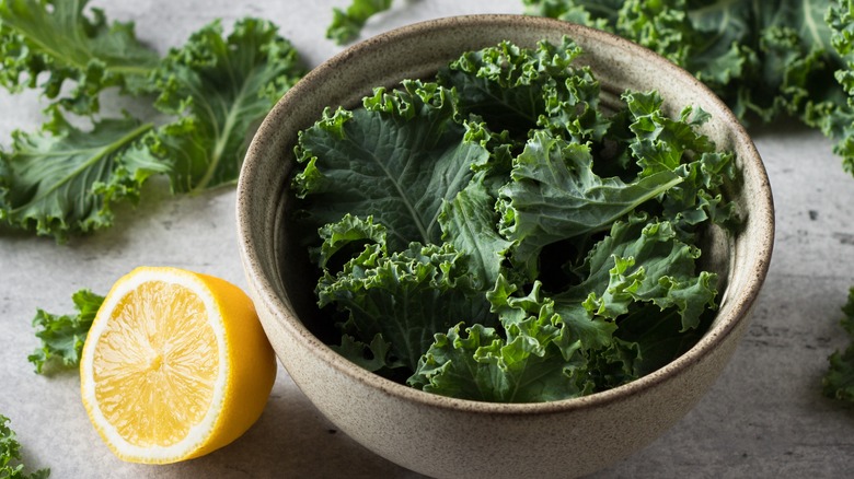 healthy kale served in bowl