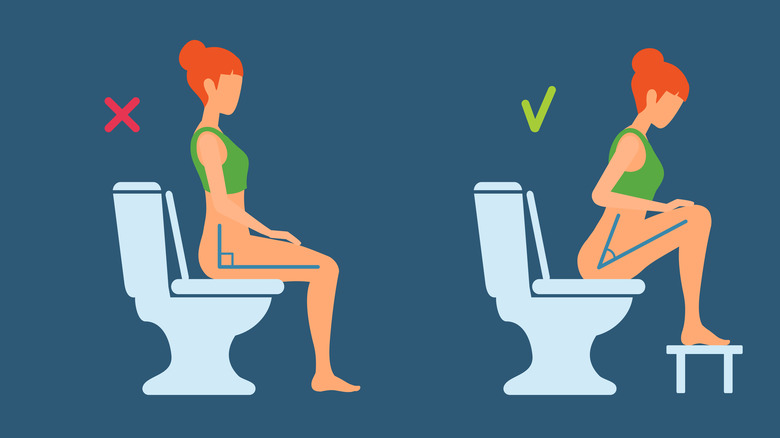 Proper way to squat on the toilet infographic