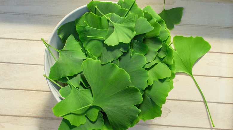 ginko biloba atop wooden crate