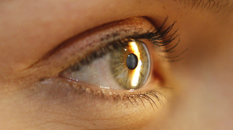 Close-up of eye during eye exam