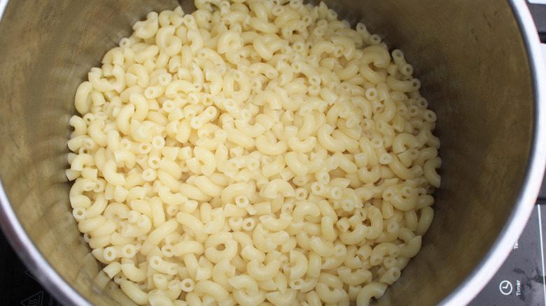 elbow macaroni in pot