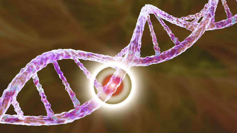 DNA molecule with mutation in a gene