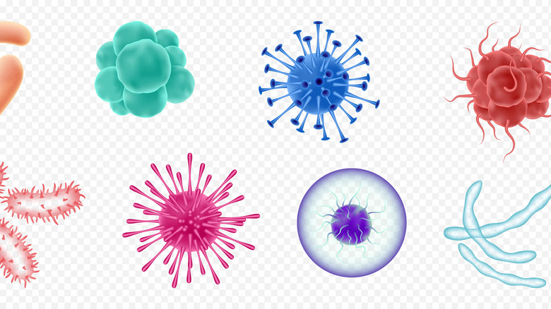 illustrations of various viruses and bacteria